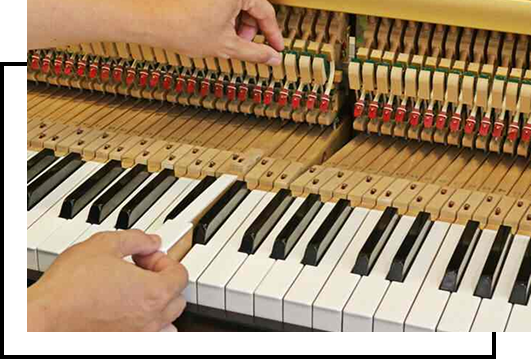 Piano Repair for Homes, Studios & Institutions