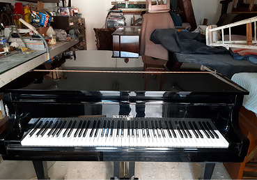 Schumann player grand