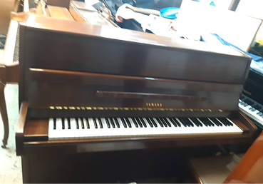 Steinway M