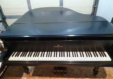 Steinway S Grand